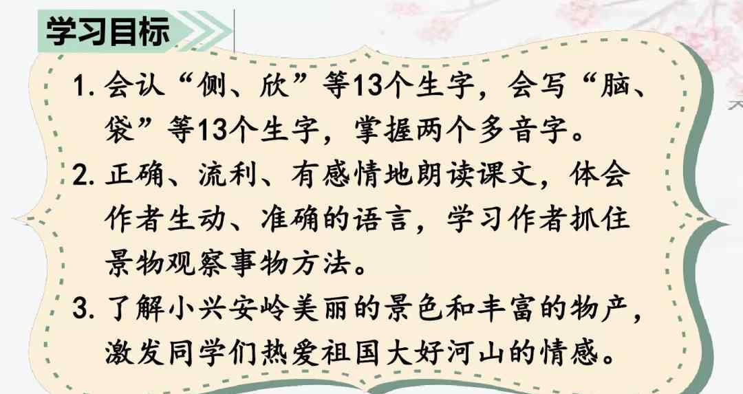 美麗的小興安嶺 部編版三年級(jí)上冊(cè)第20課《美麗的小興安嶺》知識(shí)點(diǎn)+圖文解讀