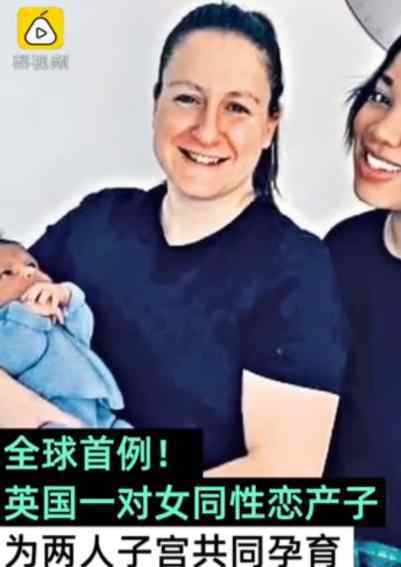 全球首例共享母親 什么是共享母親女同性戀生孩子