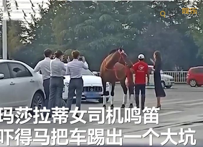 瑪莎拉蒂 山東街頭真馬撞上瑪莎拉蒂 新提的車就這么多了一個大坑