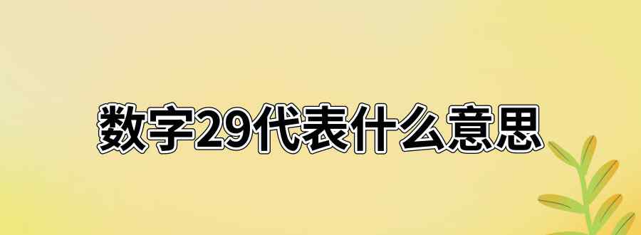 29數(shù)字代表什么意思