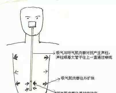 播音員主持人訓練手冊 播音主持基本功訓練手冊，學會這些技巧，你才能走的更遠！