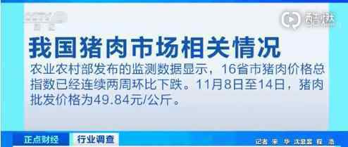 16省市豬價(jià)連續(xù)兩周環(huán)比下跌 目前豬肉多少錢(qián)一斤?