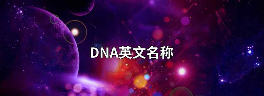 dna是什么英文名稱的縮寫