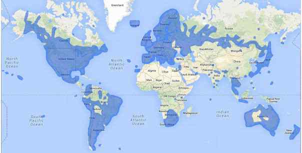 谷歌街景地圖 全球 50 多個(gè)國家的 Google 街景地圖都是怎么拍的？