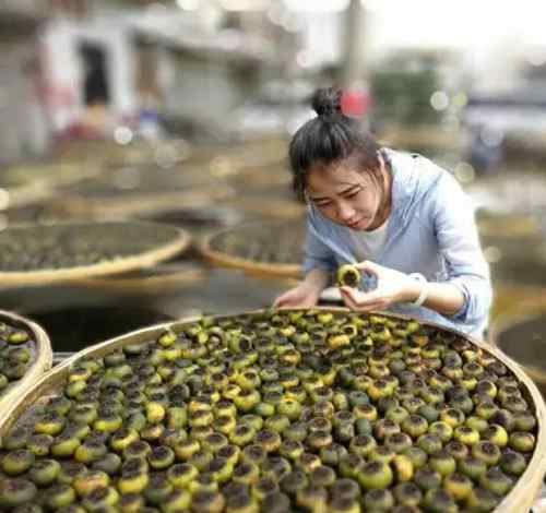 茶葉烘干機(jī) 茶葉熱泵烘干機(jī)讓茶葉烘干更簡(jiǎn)單快捷