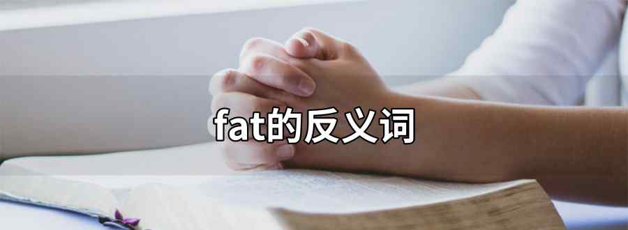 fat的反義詞