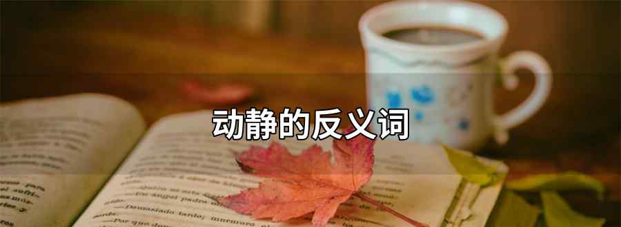 動(dòng)靜的反義詞