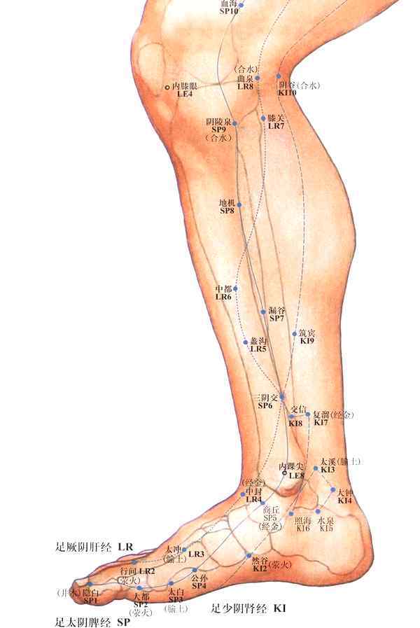 大敦的準確位置 中醫(yī)詳解足部5大穴位位置與功效，配穴位動圖，很實用！