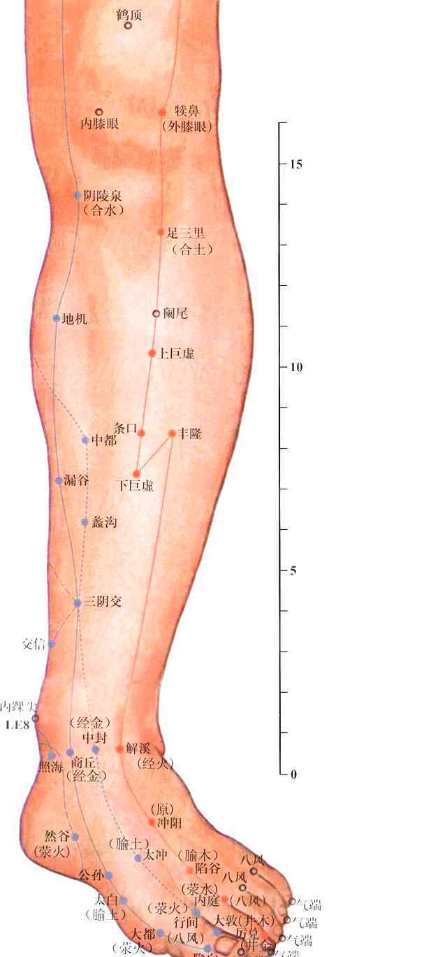 大敦的準確位置 中醫(yī)詳解足部5大穴位位置與功效，配穴位動圖，很實用！