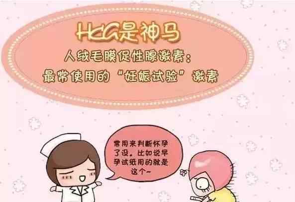 孕6周hcg正常值 哎！你HCG比我低多了！”，你該漲姿勢了吧？