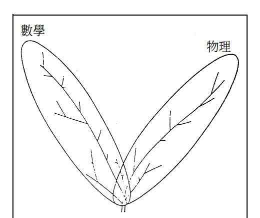 數(shù)學(xué)笑話 【物理數(shù)學(xué)】楊振寧經(jīng)典數(shù)學(xué)笑話論數(shù)學(xué)和物理的關(guān)系