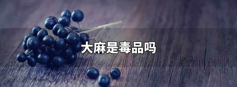 大麻是毒品嗎