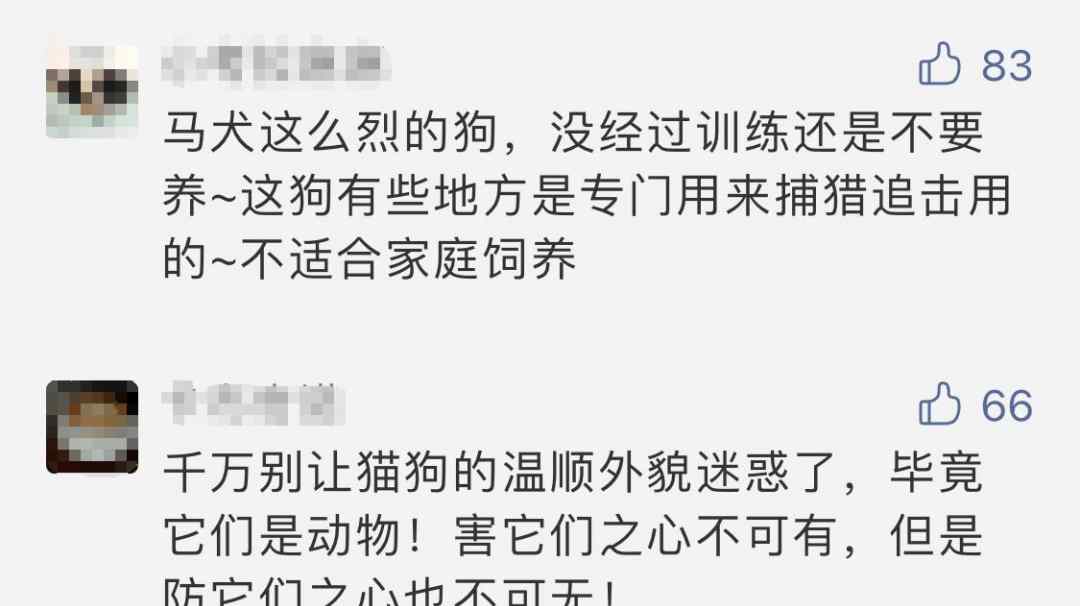 4歲男孩被咬 頭面部17處傷口、縫80多針！醫(yī)生緊急提醒