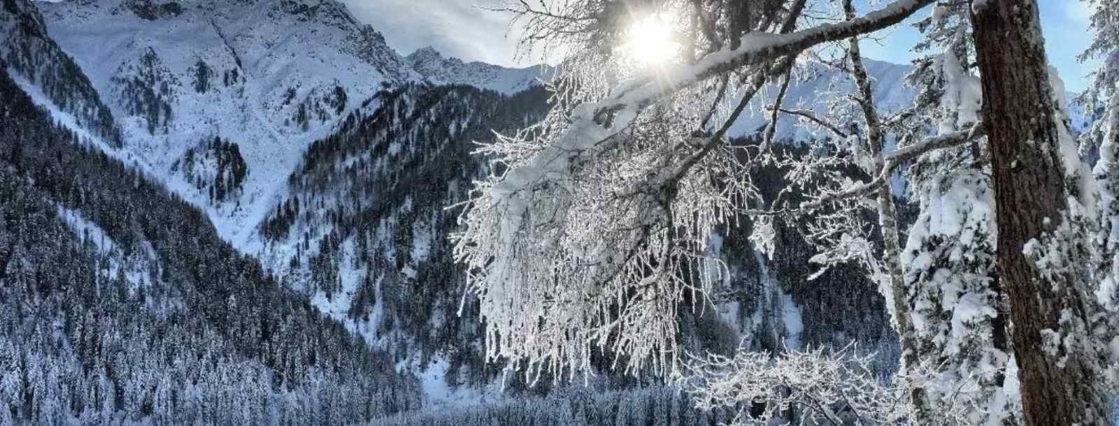 飛舞的白雪像什么 帶來了什么