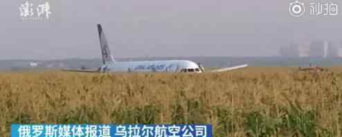 俄客機遇鳥擊畫面曝光 傷亡情況如何（圖）