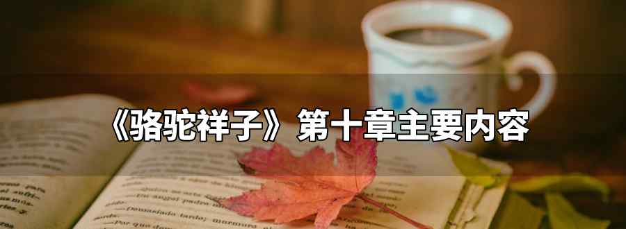 駱駝祥子第十章主要內(nèi)容