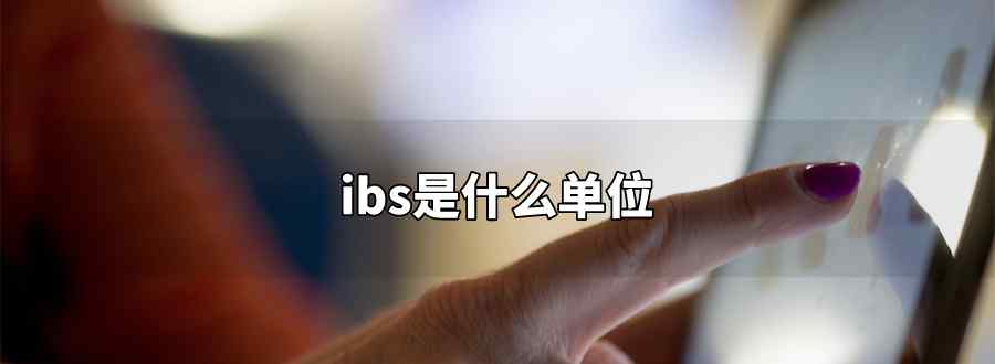 ibs是什么單位