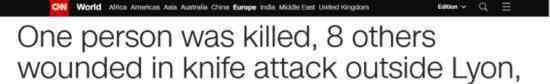 法國持刀襲擊事件 具體發(fā)生了什么?是否為恐怖襲擊