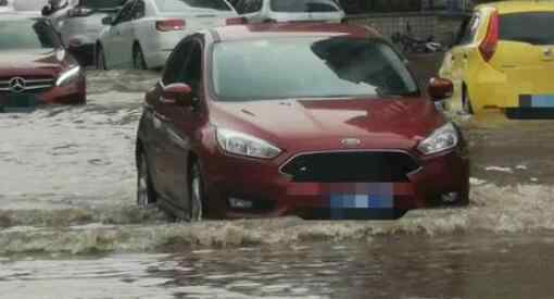 廣州雨后路人當(dāng)街捕魚 目前廣州采取了哪些措施