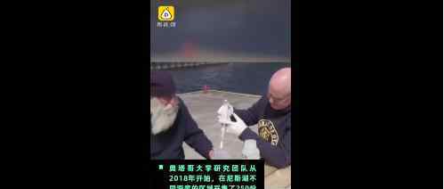 尼斯湖水怪可能是巨型鰻魚地球未解之謎就此解開(kāi)