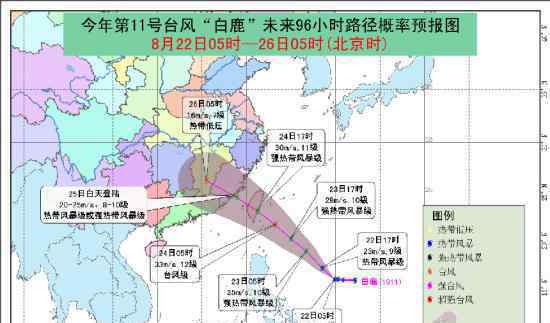 11號臺風白鹿形成了嗎威力多大什么時候登陸我國