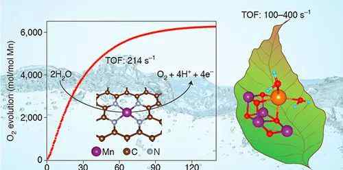 原初反應(yīng) 【基金成果快訊】大連化物所發(fā)現(xiàn)單核錳催化劑的水氧化活性可媲美自然光合作用催化劑