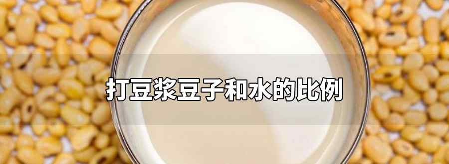 打豆?jié){豆子和水的比例