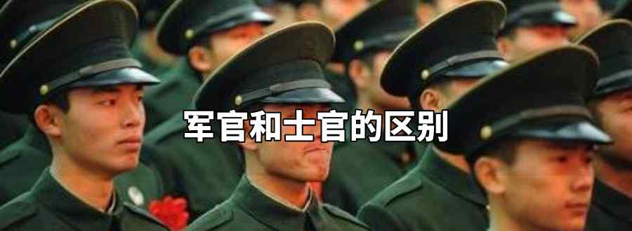 軍官和士官的區(qū)別