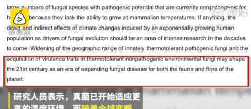 氣候變暖或致超級真菌出現(xiàn) 具體什么情況