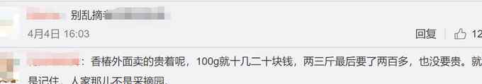 游客稱采香椿被村民一個芽罰500元？最終賠260元 村支書回應了