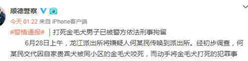 打死金毛犬被刑拘 事情經(jīng)過是怎樣的誰有理