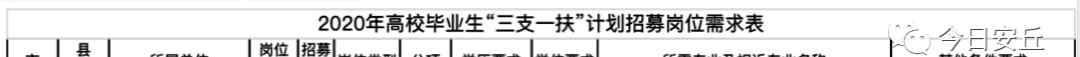 昌邑人事考試網(wǎng) 安丘招聘28人！2年后考核合格，可公開招聘為事業(yè)單位人員！部分不限專業(yè)！