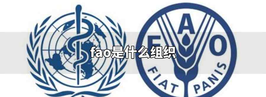 fao是什么組織