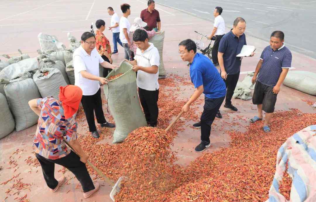 金剛石微粉 在此我毫不謙虛地說：國內(nèi)最大的金剛石微粉制造企業(yè)在柘城