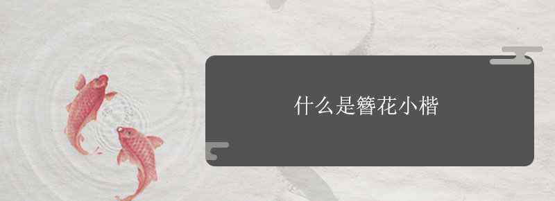 什么是簪花小楷