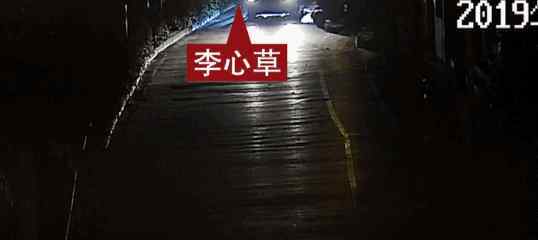 李心草溺亡案維持原判 李心草案件來龍去脈