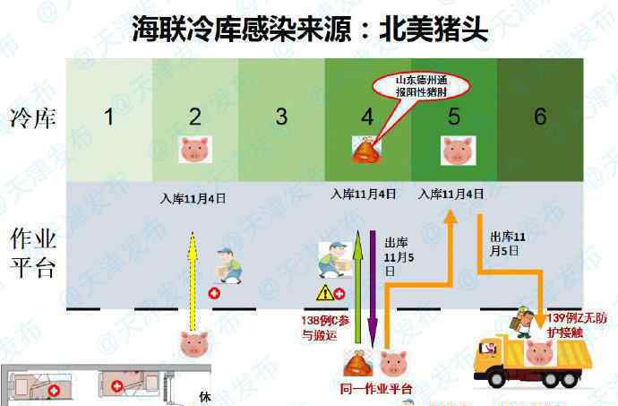 天津海聯(lián)冷庫感染來源為北美豬頭 目前是什么情況？