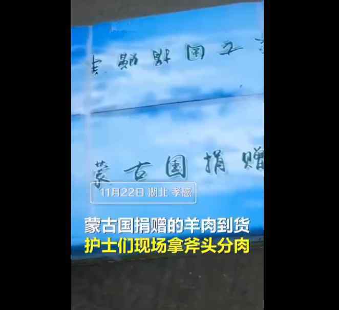 湖北護(hù)士拿斧頭分蒙古國羊肉 到底是什么狀況？