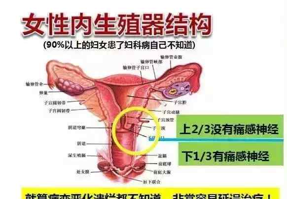 女性婦科 為什么中國女性婦科疾病發(fā)病率居全球首位？