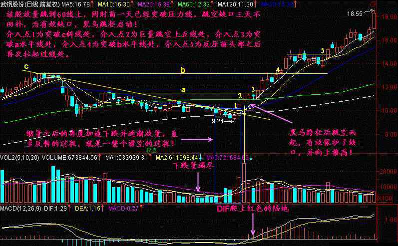 股市黑馬 股票一旦出現(xiàn)“黑馬跳欄”形態(tài)，后期股價會漲到讓你懷疑人生