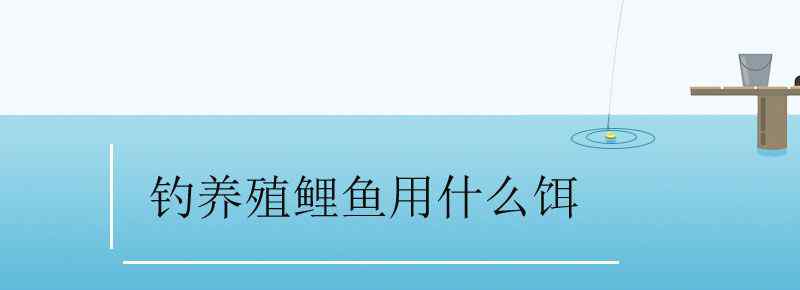 釣養(yǎng)殖鯉魚用什么餌