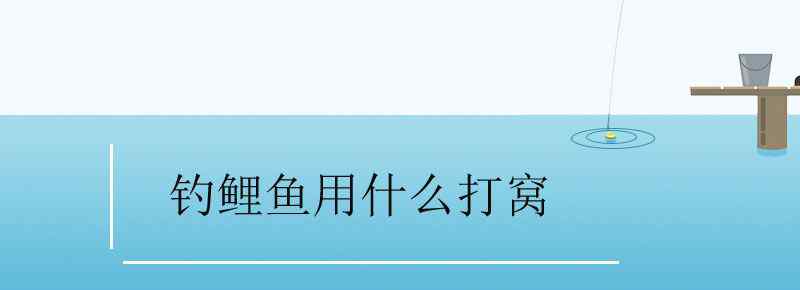 釣鯉魚用什么打窩