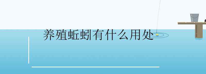 養(yǎng)殖蚯蚓有什么用處