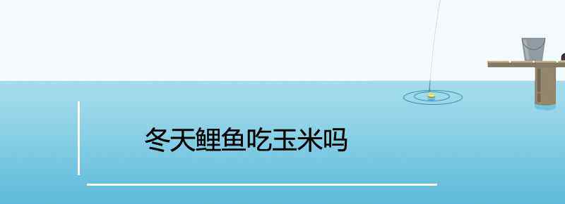 冬天鯉魚吃玉米嗎