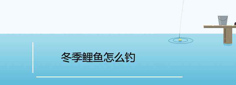 冬季鯉魚怎么釣