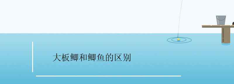 大板鯽和鯽魚的區(qū)別