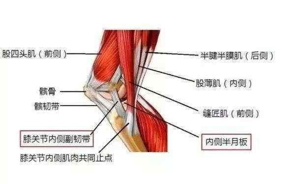 膝蓋韌帶損傷怎么辦 膝關(guān)節(jié)韌帶損傷是怎么回事？如何治療效果好？