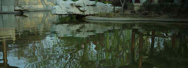 南寧高峰森林公園開放了嗎