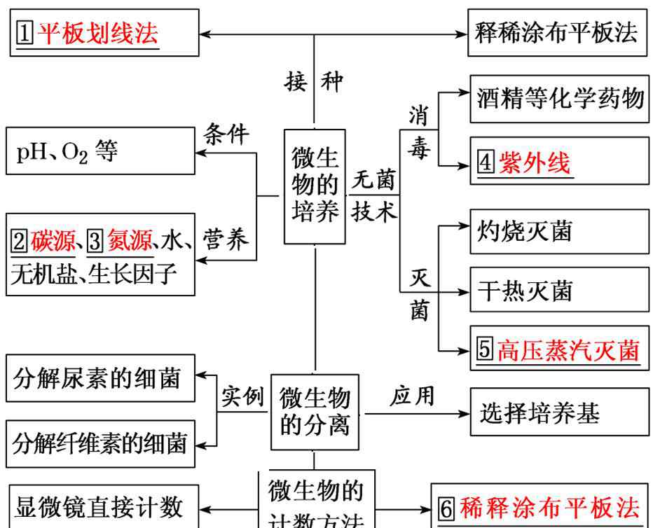 微生物的培養(yǎng)與應(yīng)用 微生物的培養(yǎng)與應(yīng)用（視頻課+知識(shí)點(diǎn)+練習(xí)）