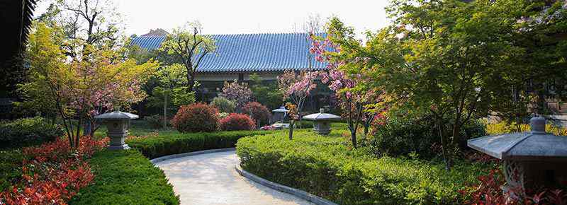 重慶博物館要門票嗎